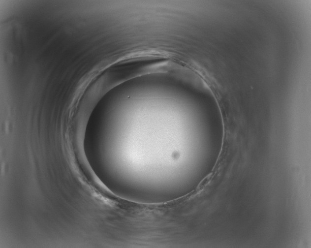 X0000083600193200702091229