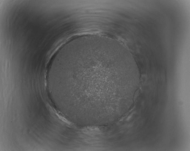 X0000083600194200702091229