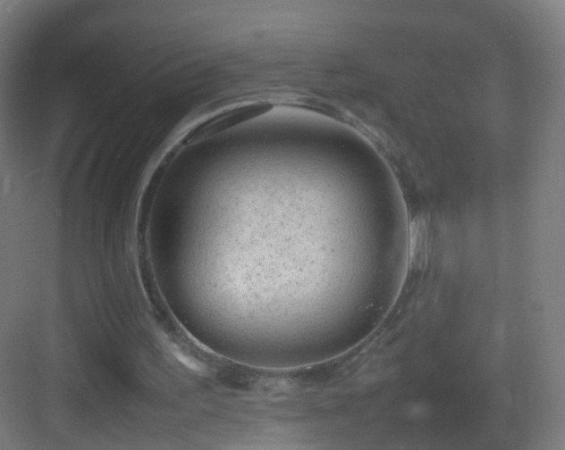 X0000083600195200702091229