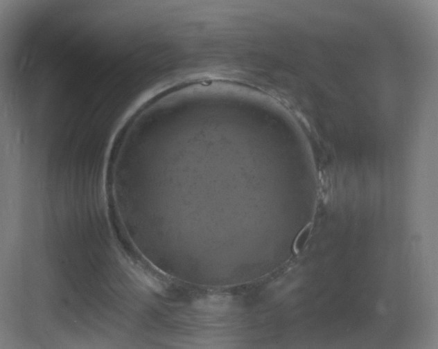 X0000083600196200702091229