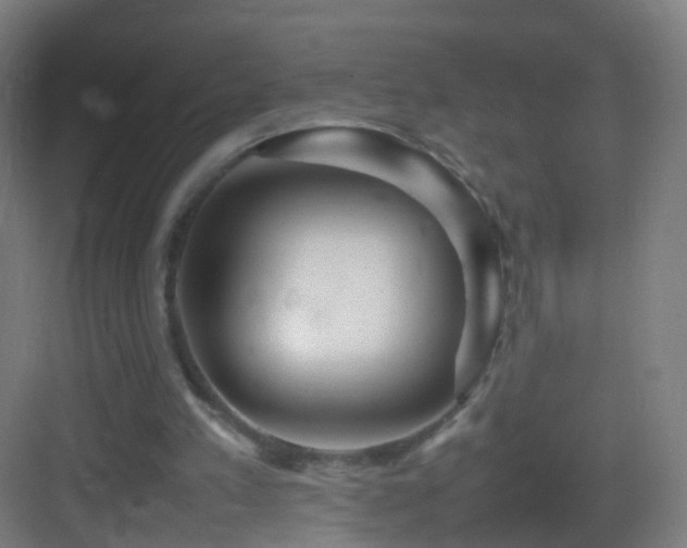 X0000083600197200702091229