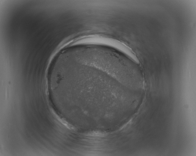 X0000083600198200702091229