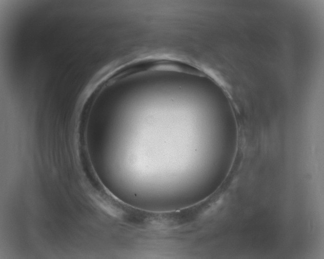 X0000083600199200702091229