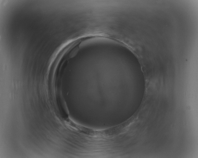 X0000083600200200702091229