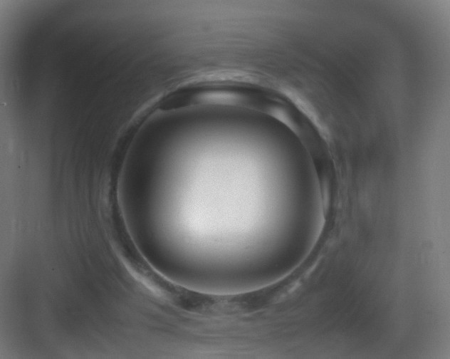 X0000083600201200702091228