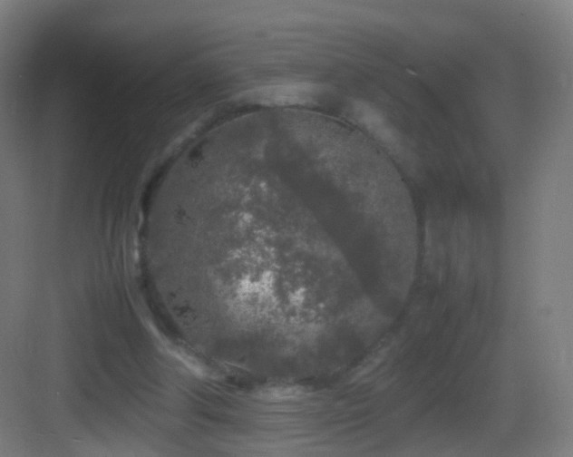 X0000083600202200702091228