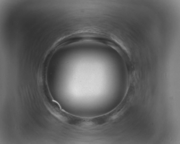 X0000083600203200702091228