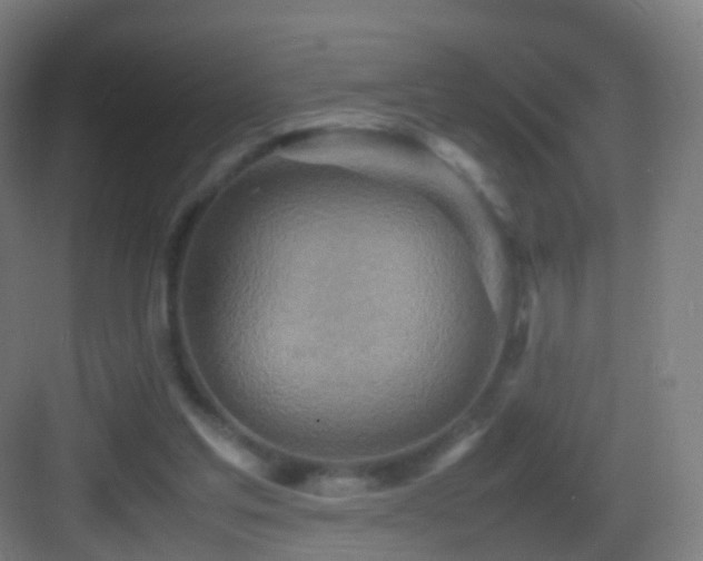 X0000083600205200702091228