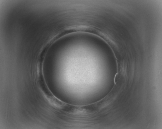 X0000083600206200702091228