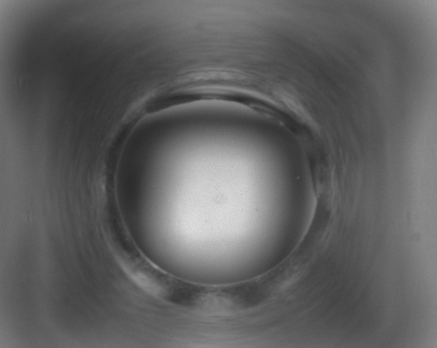 X0000083600207200702091228