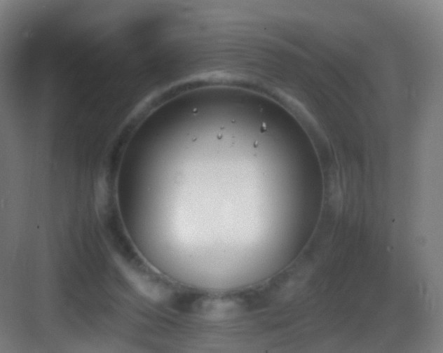 X0000083600208200702091228