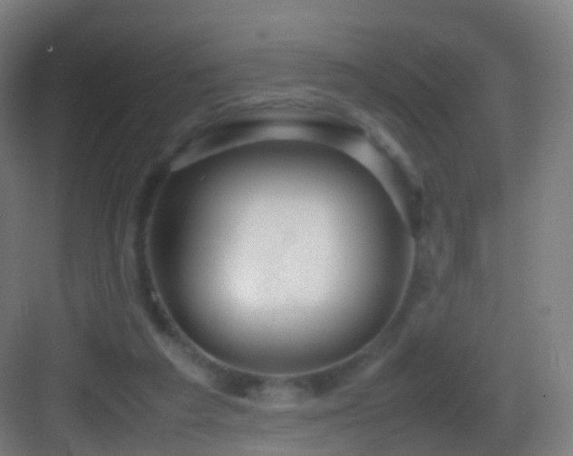 X0000083600209200702091228