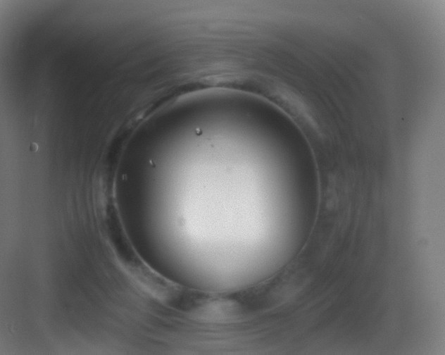 X0000083600210200702091228