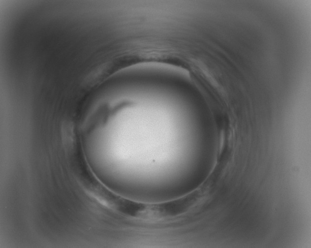 X0000083600211200702091228