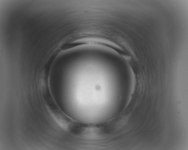 X0000083600212200702091228