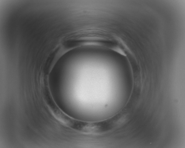 X0000083600213200702091228