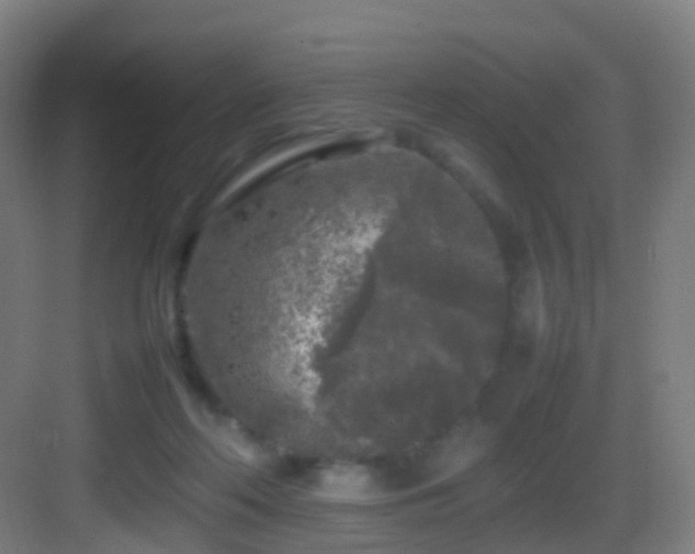 X0000083600214200702091228