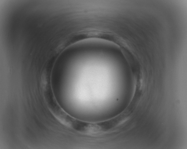 X0000083600215200702091228