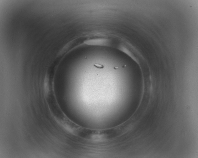 X0000083600216200702091228