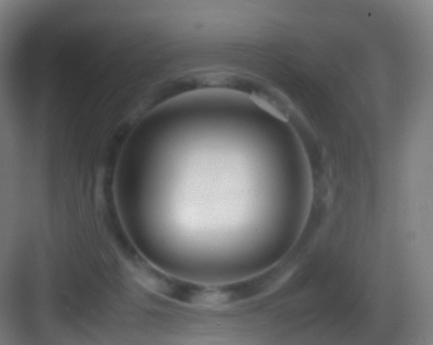 X0000083600217200702091228