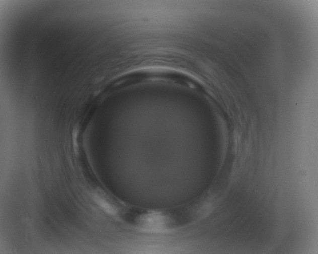 X0000083600219200702091228