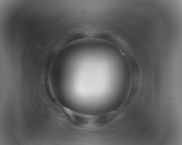 X0000083600221200702091228