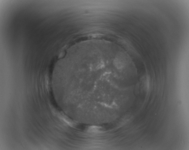 X0000083600222200702091228