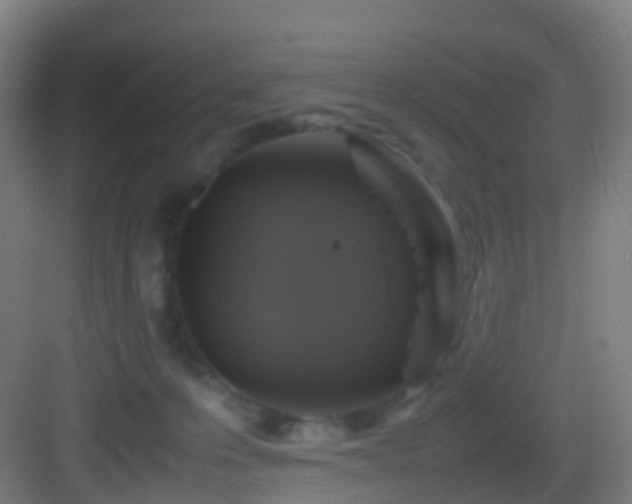 X0000083600223200702091228