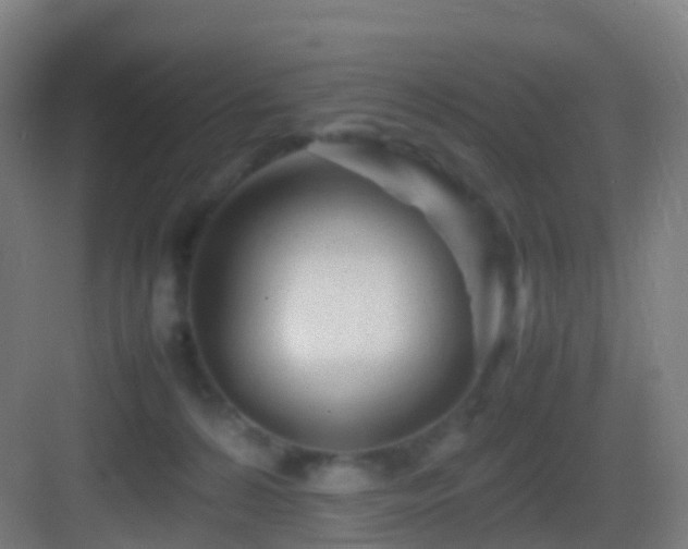 X0000083600224200702091228