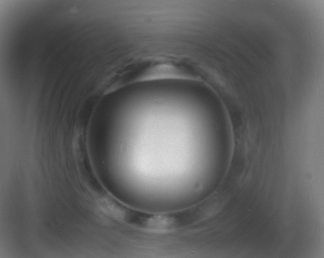 X0000083600225200702091228