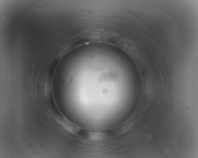 X0000083600226200702091228