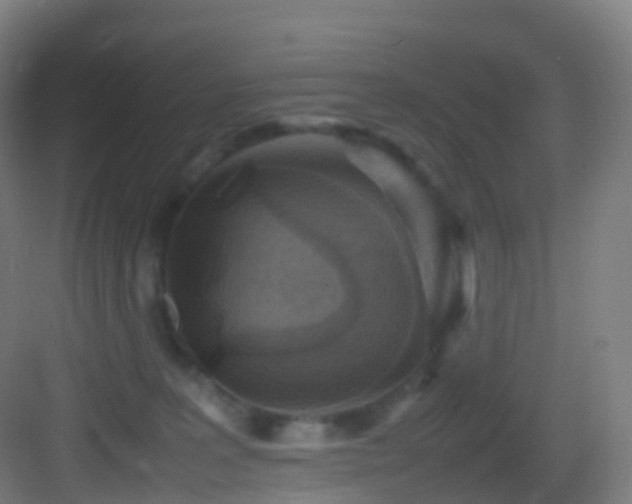 X0000083600227200702091228