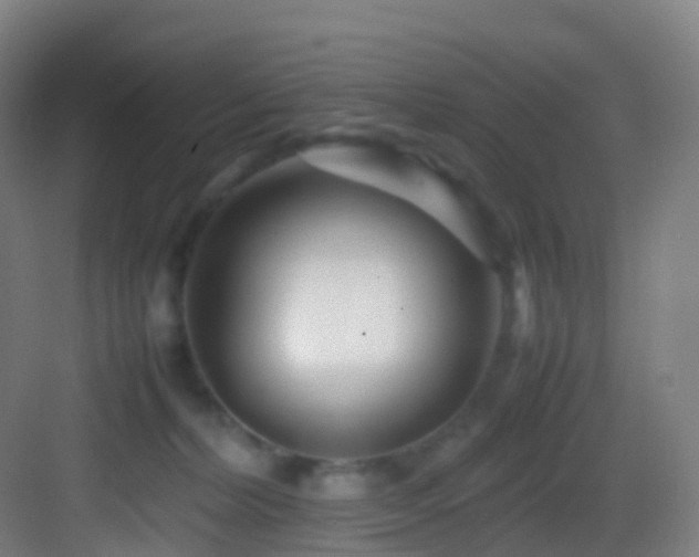 X0000083600228200702091228