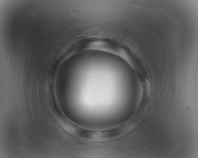 X0000083600229200702091228