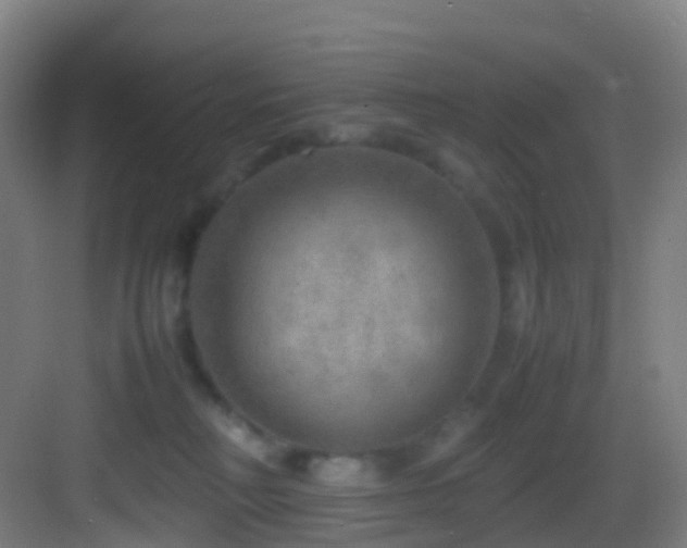 X0000083600230200702091228