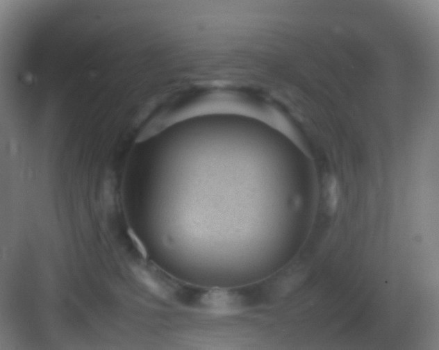 X0000083600231200702091228