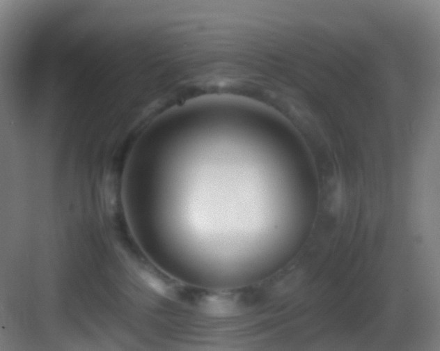 X0000083600232200702091228