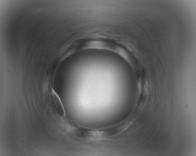 X0000083600233200702091228