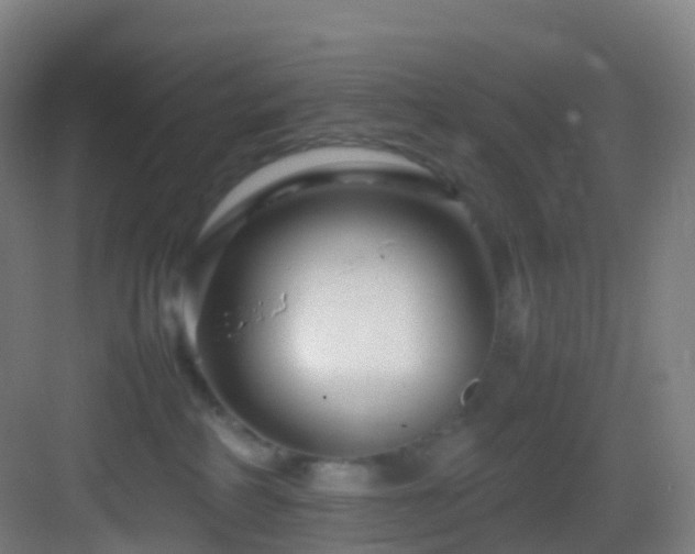 X0000083600234200702091228