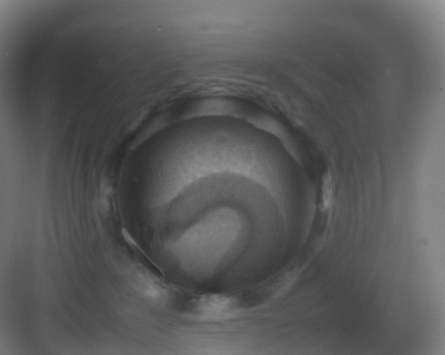 X0000083600235200702091228