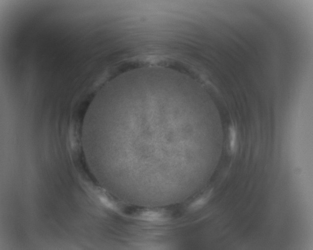 X0000083600236200702091228