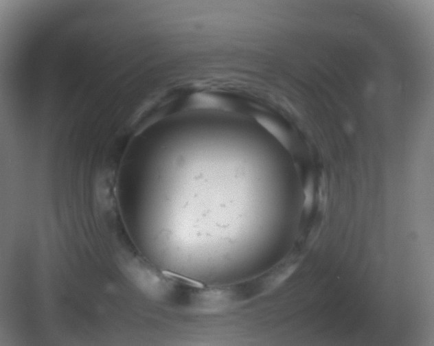 X0000083600237200702091228