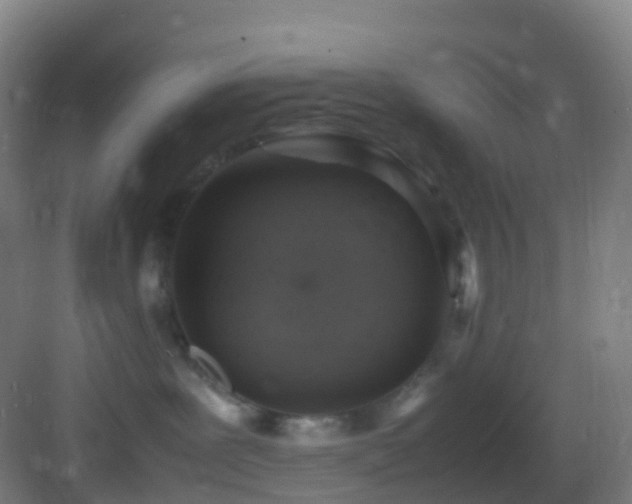 X0000083600239200702091228