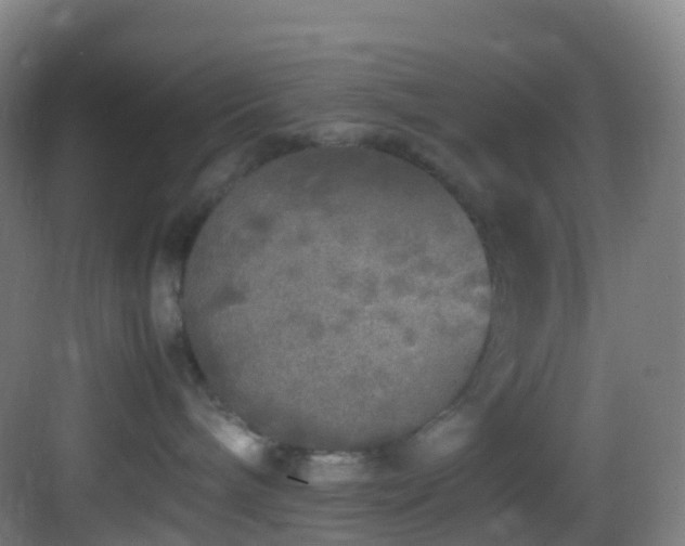 X0000083600240200702091228