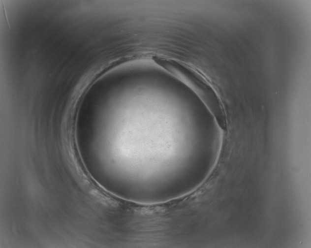 X0000083600241200702091227