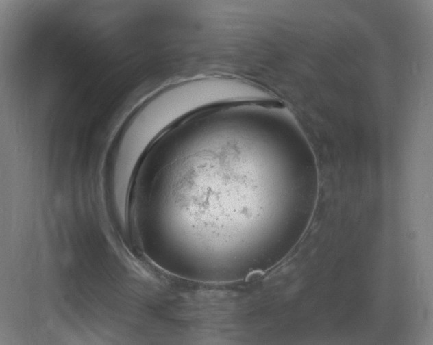 X0000083600242200702091227