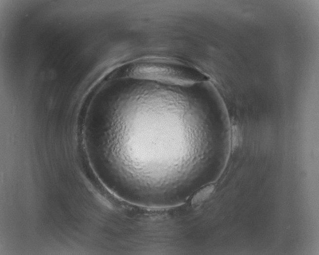 X0000083600243200702091227