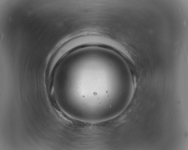 X0000083600244200702091227