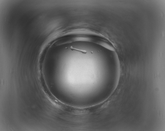 X0000083600245200702091227