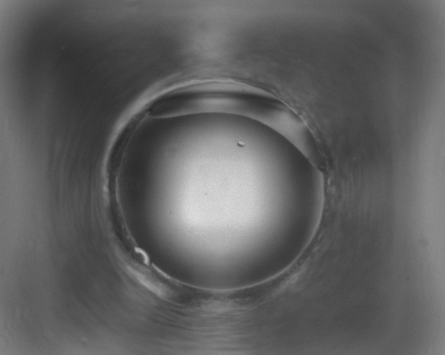 X0000083600246200702091227